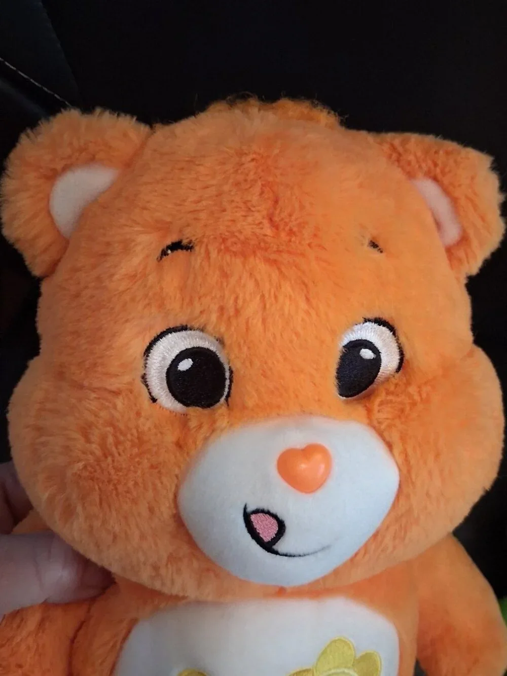 Care Bears this fun